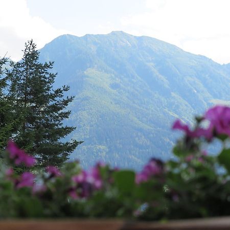 Haus Enzian Apartman Sankt Johann im Pongau Kültér fotó