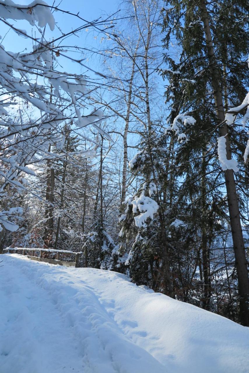 Haus Enzian Apartman Sankt Johann im Pongau Kültér fotó