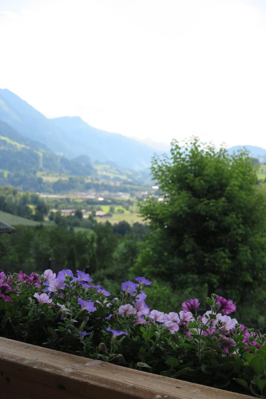 Haus Enzian Apartman Sankt Johann im Pongau Kültér fotó
